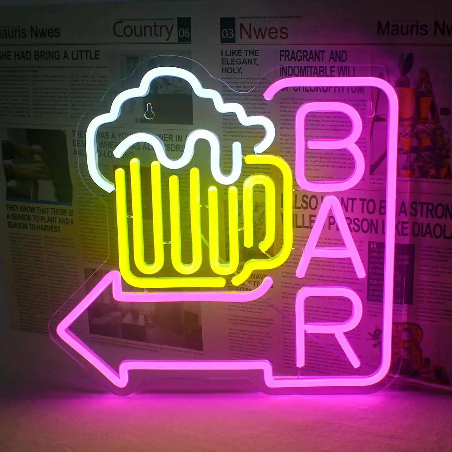 ‘Beer Bar’ Sign